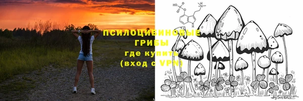 скорость Ладушкин