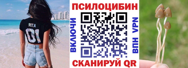 Псилоцибиновые грибы Magic Shrooms  mega онион  Мосальск 